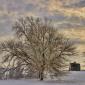 Prairie Winter Afternoon